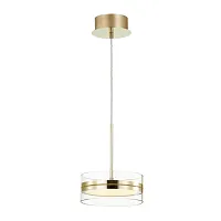 Светильник подвесной LED Akela 4729/14L Odeon Light прозрачный 1 лампа, основание золотое в стиле хай-тек современный 